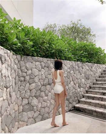 假恐龙的作品