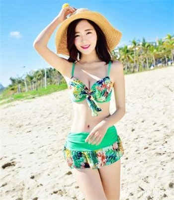 萌白酱果体