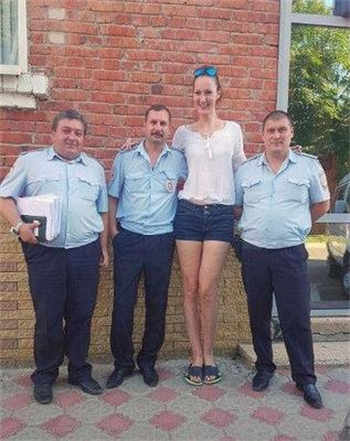 老赵沈婷82章