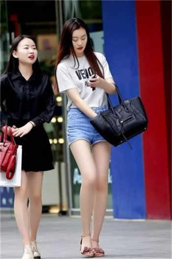 白芷陈流在线完整阅读