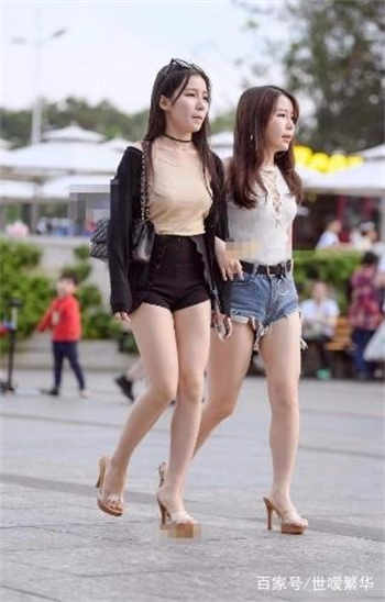 爱情公寓之女友诸葛大力