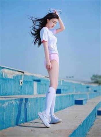 爱情公寓之从诸葛大力