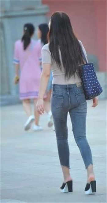 森萝财团雏菊内部视频