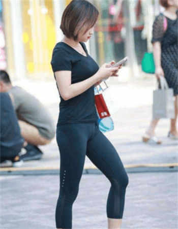 雏姬5免费版下载